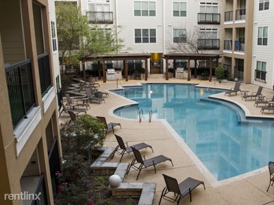 517 E Oltorf St, Austin, TX 78704 - Apartment for Rent