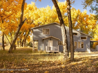 Home For Sale In Blanco, New Mexico