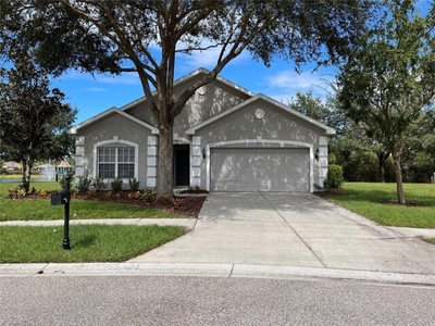 Home For Sale In Land O Lakes, Florida
