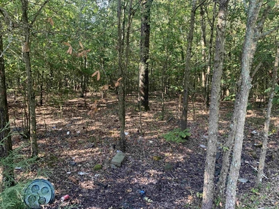 Lots and Land: MLS #23031334