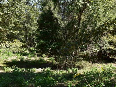 Lots and Land: MLS #23032459