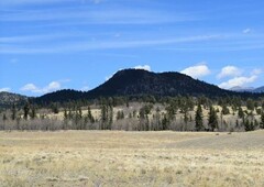 368 Antelope Way, COMO, CO, 80432 | for sale, Land sales