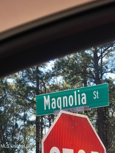 Magnolia Lots 797 & 798 Street