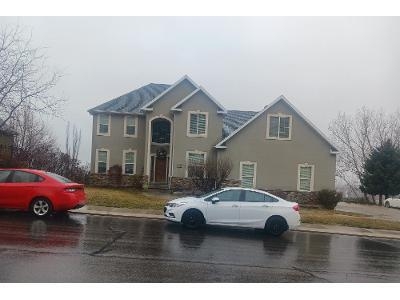 Preforeclosure Single-family Home In Pleasant Grove, Utah