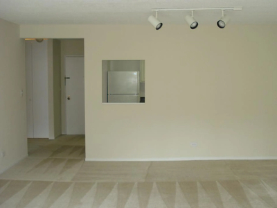 10 E Ontario St Apt 2103 Il2-Op-2103, Chicago, IL 60611 - House for Rent