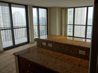 10 E Ontario St Apt 4604, Chicago, IL 60611 - House for Rent
