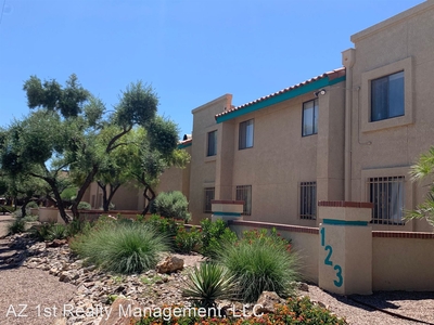 123 West Delano St., Tucson, AZ 85705 - Apartment for Rent