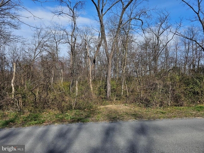 TRACT 2- 3+/- ACRES Hunter Road