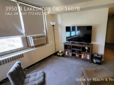 3950 N Lakeshore Dr - 1607B, Chicago, IL 60613 - Condo for Rent