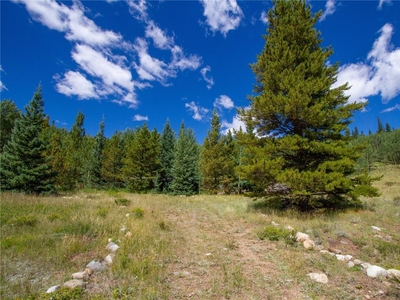 1147 County Road 1, ALMA, CO, 80440 | for sale, Land sales