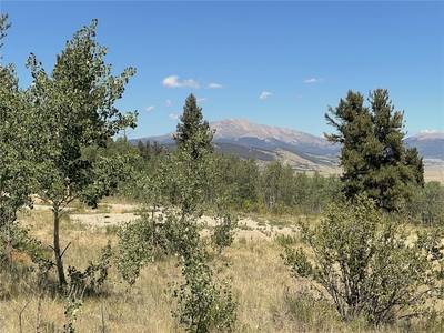 1178 REDHILL Road, FAIRPLAY, CO, 80440 | for sale, Land sales