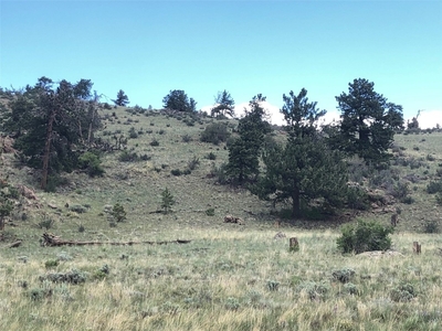 123 Campfire Road, HARTSEL, CO, 80449 | for sale, Land sales