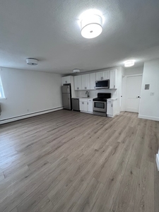 740 East 7th Street #40, Boston, MA 02127 - Apartment for Rent