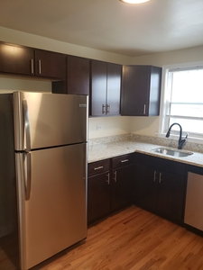 4256 W Nelson St, Chicago, IL 60641 - Apartment for Rent