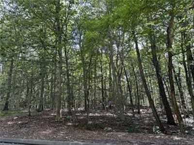 Lot #13 South Brook, Stamford, CT, 06904 | for sale, Land sales