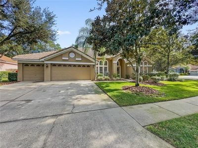 17801 HICKORY MOSS PLACE, Tampa, FL 33647