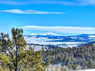 1023 Windmill Drive, HARTSEL, CO, 80449 | for sale, Land sales