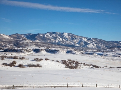 41575 Champagne Lane, Steamboat Springs, CO, 80487 | Nest Seekers