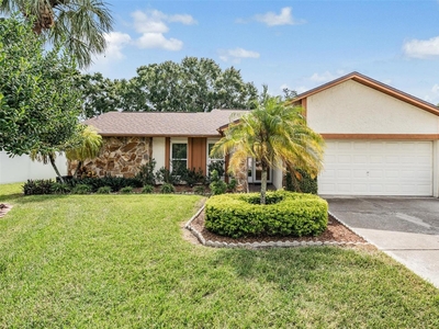 10712 OUT ISLAND DRIVE, Tampa, FL 33615
