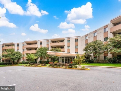 Flat For Rent In Bethesda, Maryland