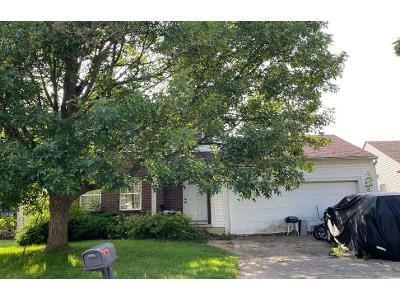 Preforeclosure Single-family Home In Columbus, Ohio