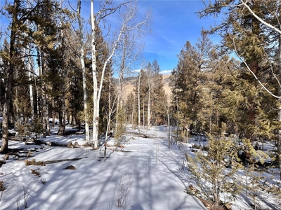 2834 Middle Fork Vista Lot 229, FAIRPLAY, CO, 80440 | for sale, Land sales