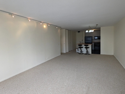 405 N Wabash Ave Unit 2014, Chicago, IL 60611 - House for Rent
