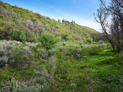 51 Shield O Road, Snowmass, Co, 81654