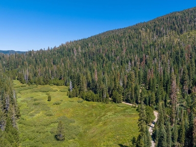 80 Acres Of Pristine Land In The Middle Of Plumas Eureka State Park