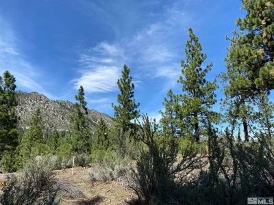 Beautiful Homesite In An Exciting New Community Near Lake Tahoe