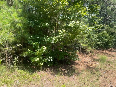 Rare Opportunity For A Large 3.818 Acre Lot