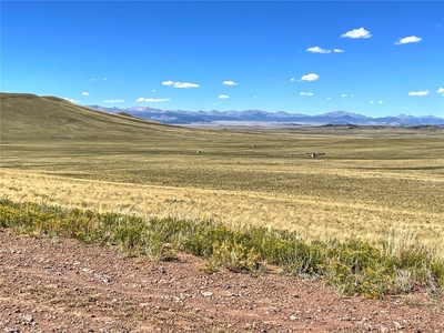 0 Coochee Trail, HARTSEL, CO, 80449 | for sale, Land sales