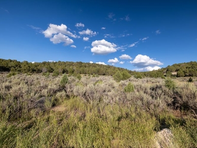 Lots and Land: MLS #1896531