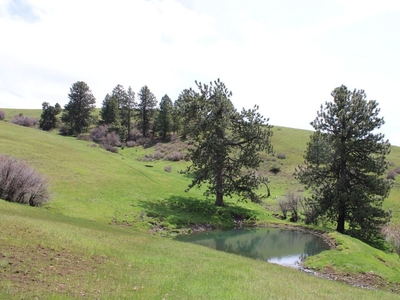 Birch Creek Ranch
