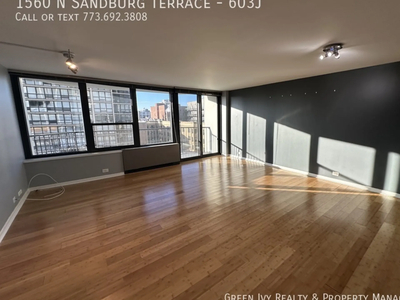 1560 N Sandburg Terrace - 603J, Chicago, IL 60610 - Condo for Rent