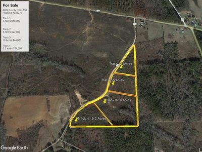 4488 County Road 156 # Tract 1 4 Ac