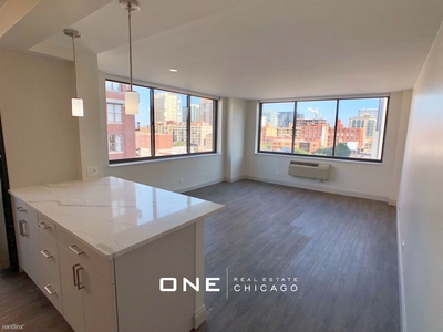 Illinois and Orleans, Chicago, IL 60654 - Apartment for Rent
