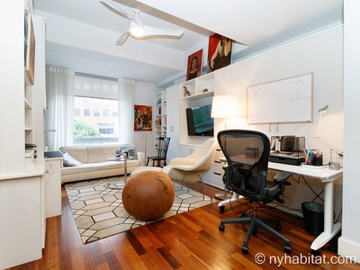 New York Apartment - 1 Bedroom Rental in Downtown Brooklyn
