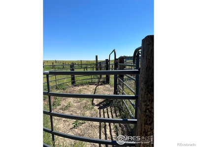 Farms/Ranches: MLS #IR996640