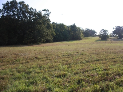 Lots and Land: MLS #23027536