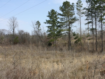 Lots and Land: MLS #23029697