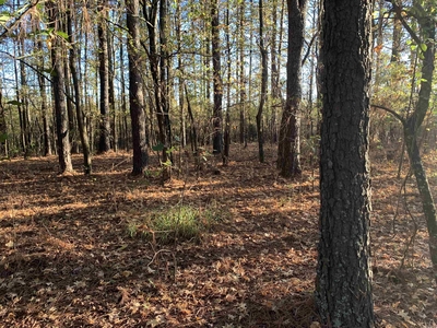 Lots and Land: MLS #23035690