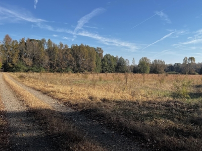 Lots and Land: MLS #23036666