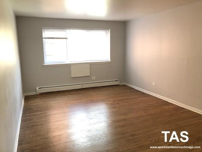 1040 West Hollywood St., Chicago, IL 60660 - Apartment for Rent