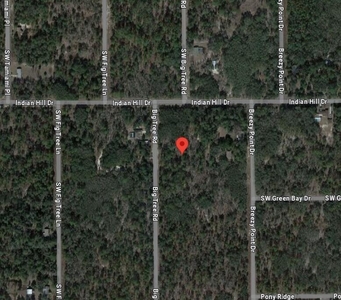 Tbd SW Big Tree Road, Dunnellon, FL, 34431 | for sale, Land sales
