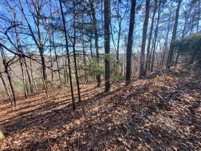 Lots and Land: MLS #23039844
