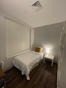 1 bedroom, Brighton Brighton 02135-3504