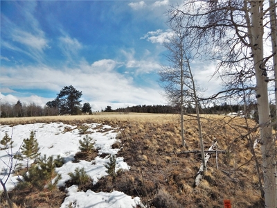 356 BOLSTER Drive, HARTSEL, CO, 80449 | for sale, Land sales
