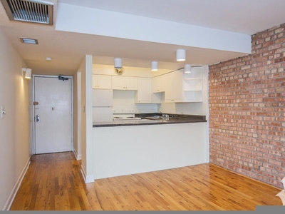1220 N Lasalle, Chicago, IL 60610 - Apartment for Rent
