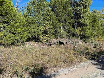 Lots and Land: MLS #24011619